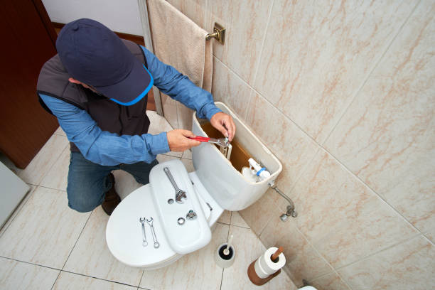 Best Plumbing Services Near Me  in Lake Hamilton, AR