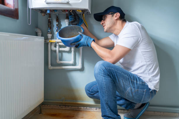 Best Local Plumber Services  in Lake Hamilton, AR