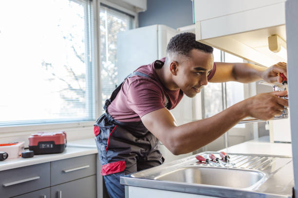 Best Clogged Drain Plumber  in Lake Hamilton, AR